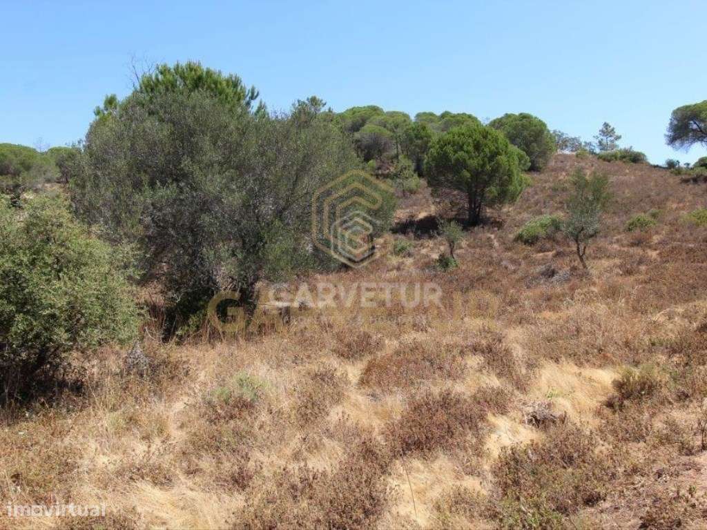 Terreno rústico, em zona agrícola, Albufeira, Algarve. - Grande imagem: 3/31