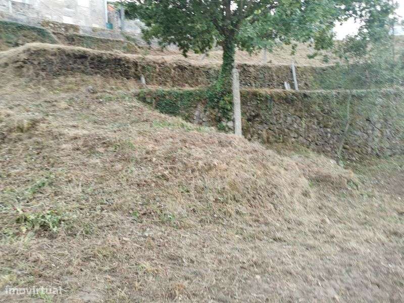 Terreno Quinta Vale Cambra Costa Anelha 0,5HA - Grande imagem: 4/8