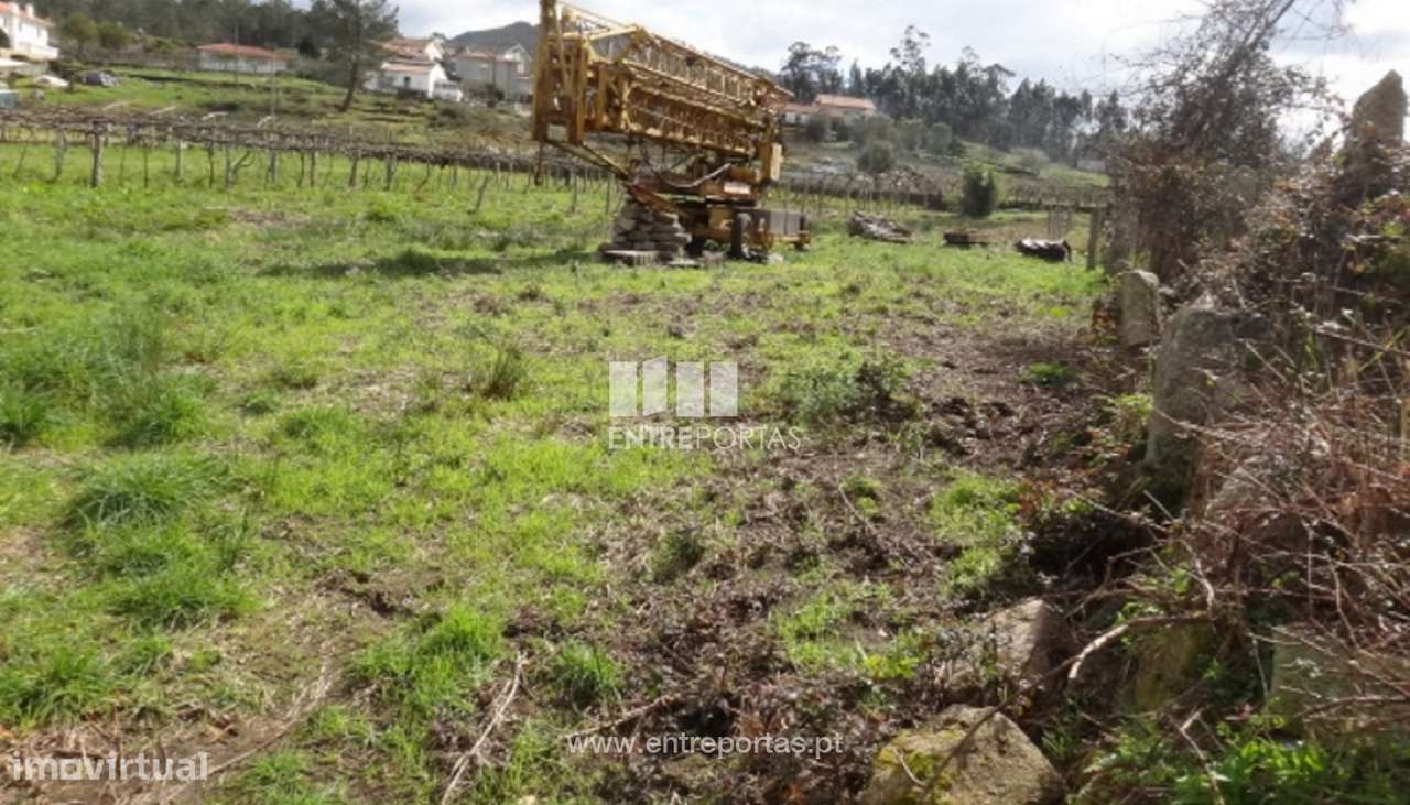 Venda de Terreno, Subportela, Viana do Castelo - Grande imagem: 4/5