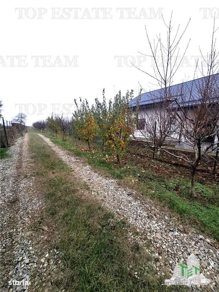 Teren Intravilan Moara Vlasiei 963 mp, Zona Superba,-3