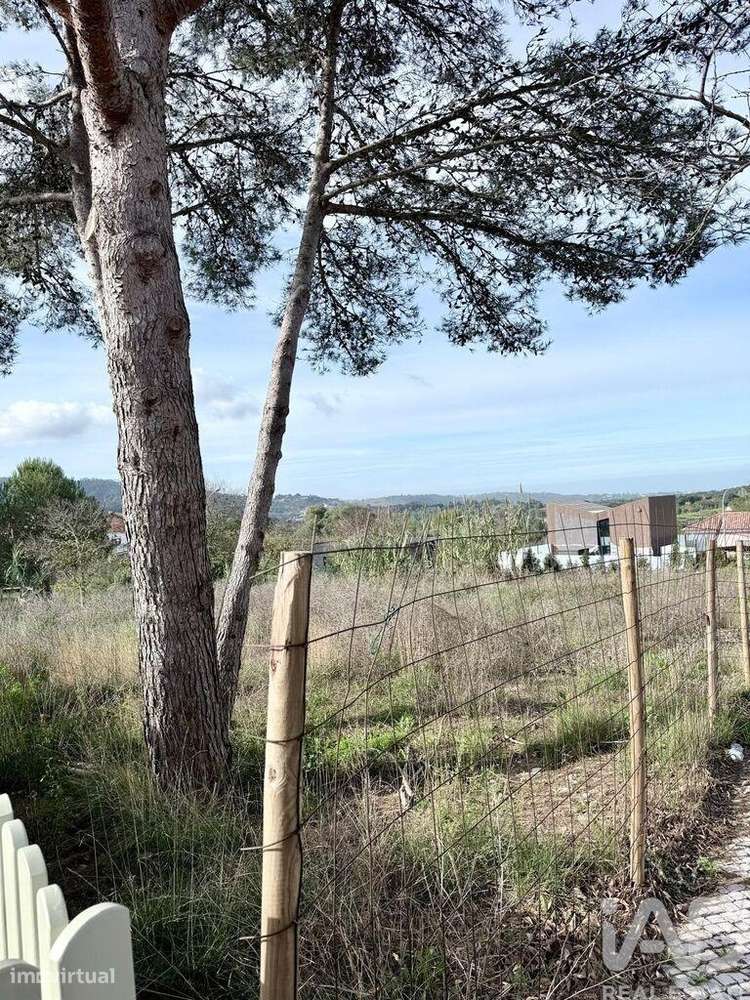 Terreno para construção em Sintra - Grande imagem: 4/11