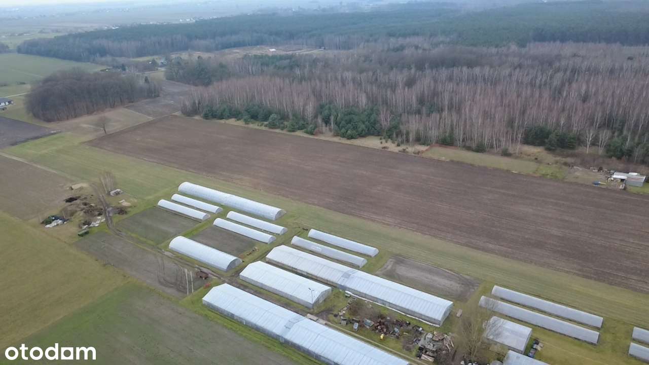 Podzagajnik działka 3.32 ha, szer. 80m, 40 zł/m2 przy DK12 - Pełny obrazek: 5/17