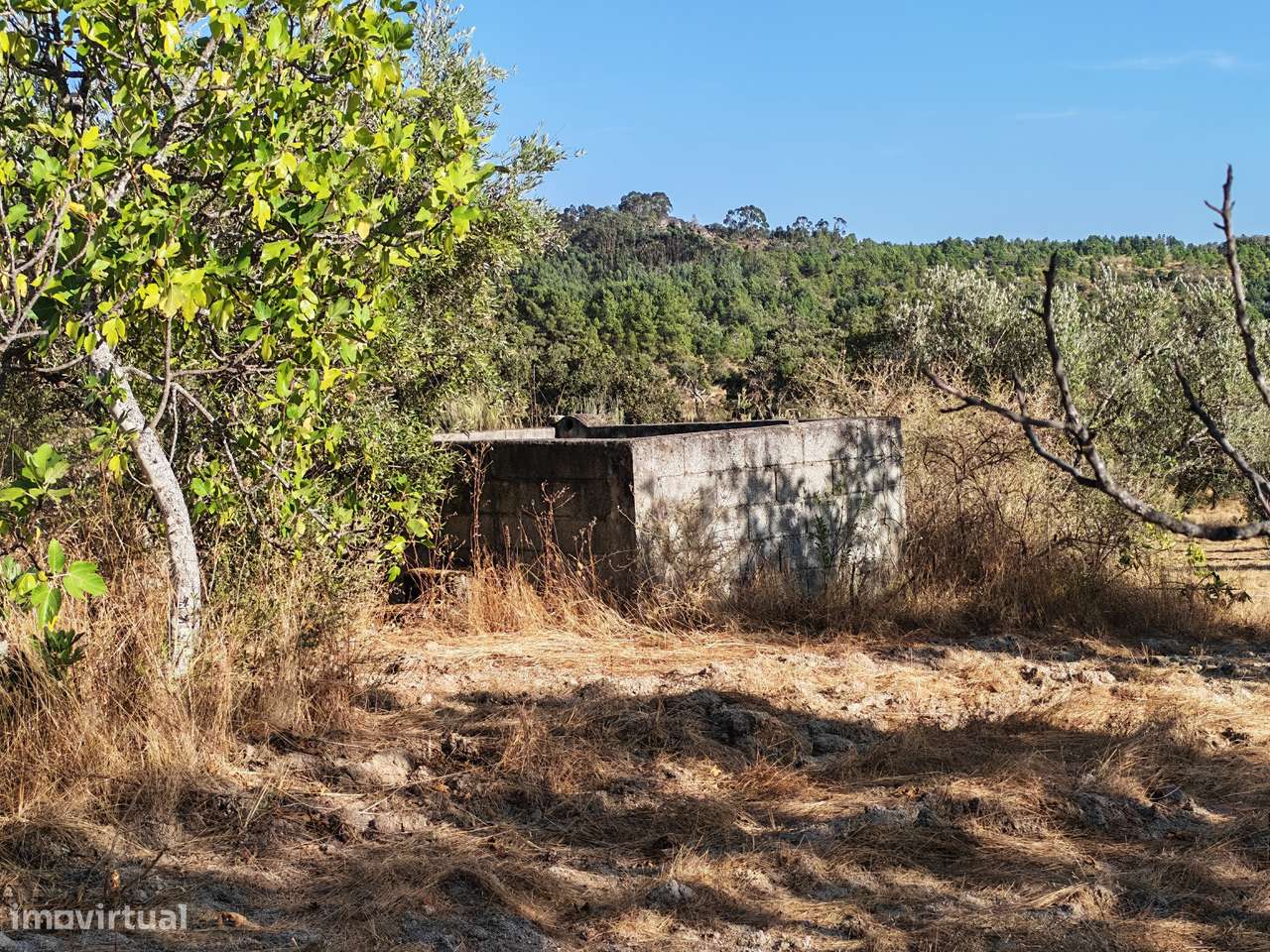Terreno Rústico com casa - Grande imagem: 5/14