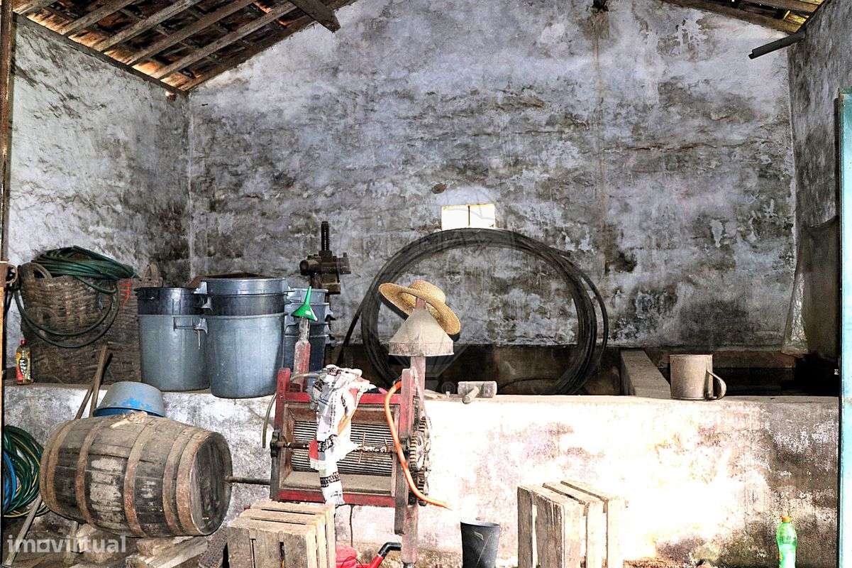 Quinta  para venda - Grande imagem: 4/24