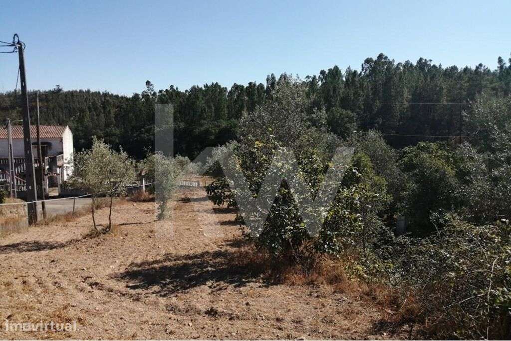 Terreno 2080 m2 Urbanizável - Entrevinhas, Sardoal - Grande imagem: 4/18