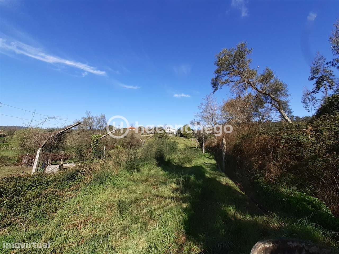 Terreno agricola Alvito São Pedro Barcelos-5