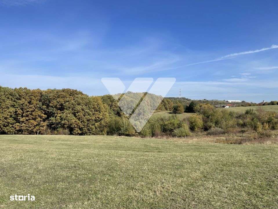Teren extravilan 1342 mp zona linistita – Rasinari - Sibiu - Imagine principală: 2/11