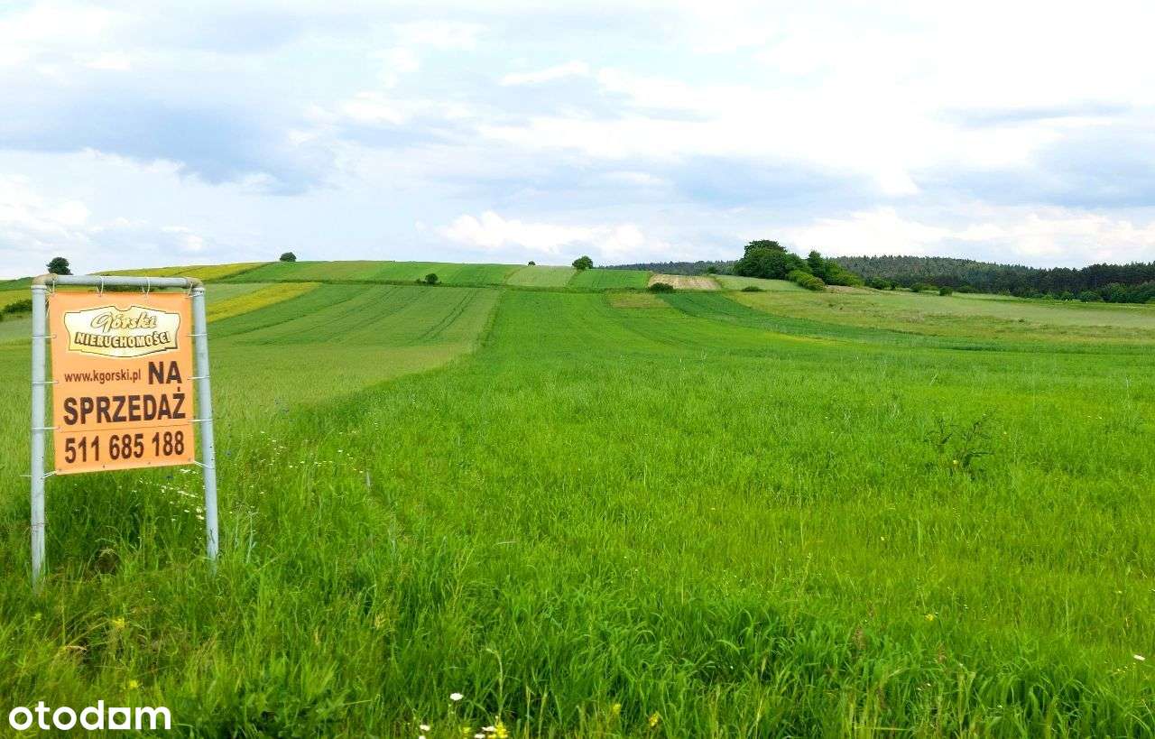 działki rolne i leśna, Żurawnica, gm. Zwierzyniec - Pełny obrazek: 4/17