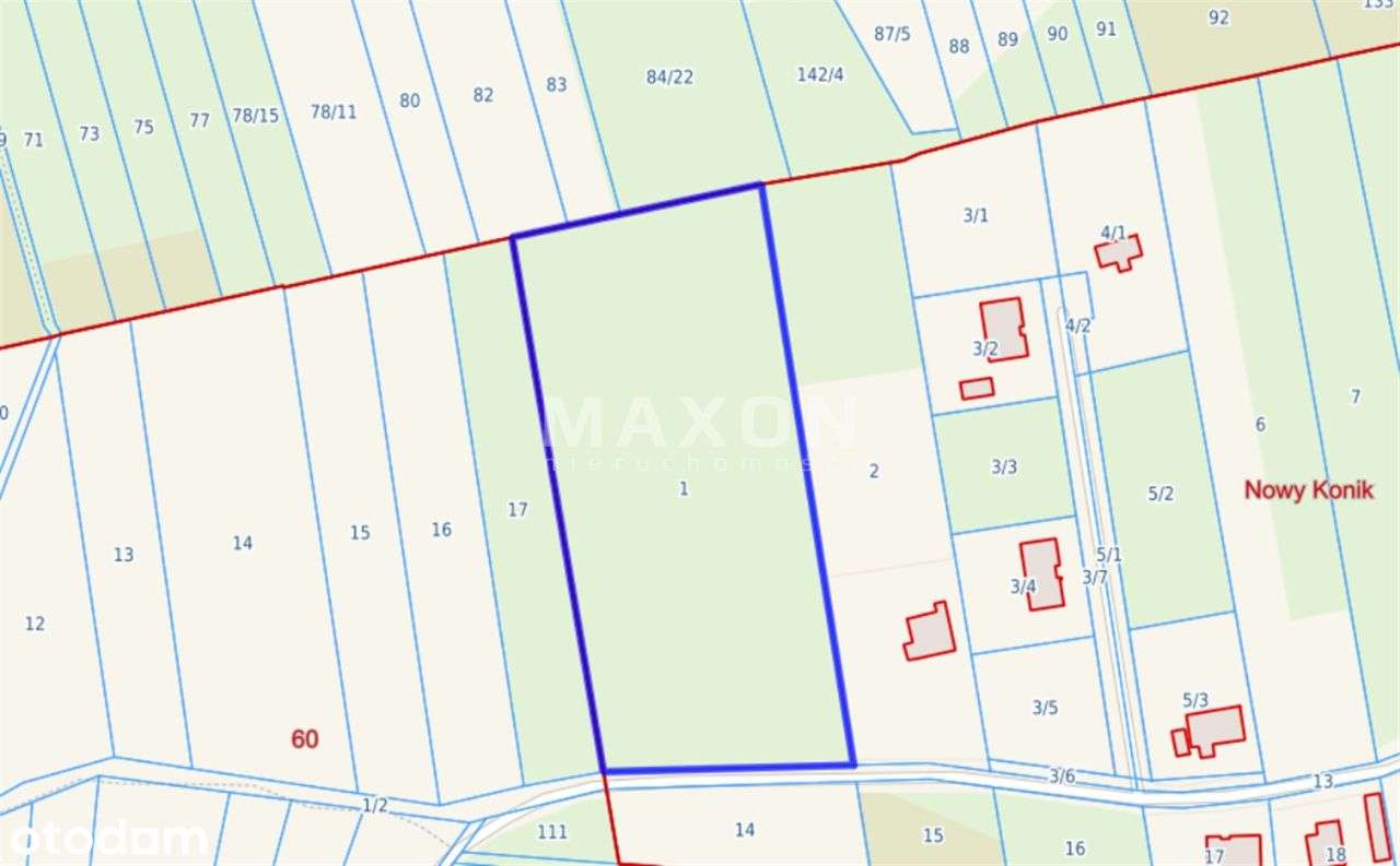 ❗❕ Działka z potencjalem - Nowy Konik 0,93 ha ❕❗ - Pełny obrazek: 4/10