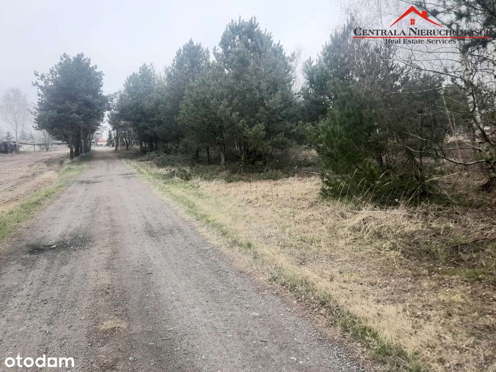 Działki W Łubiance - Pełny obrazek: 4/4
