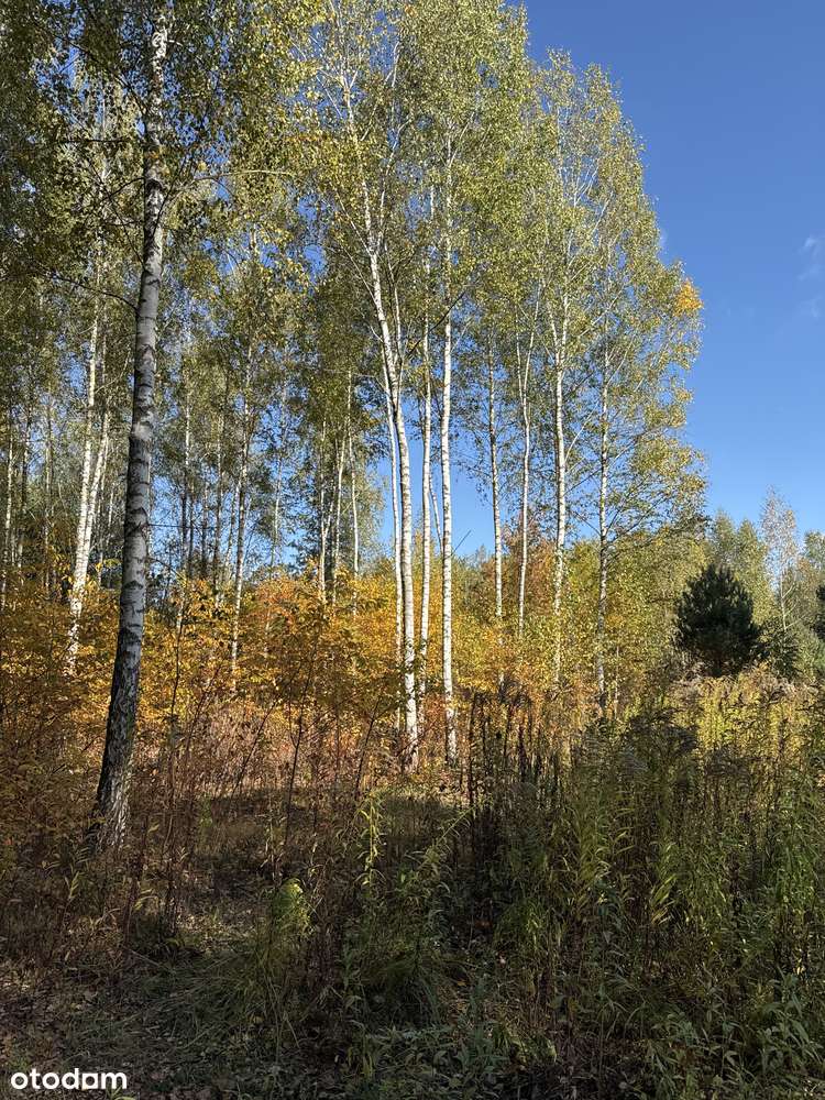 Do Parku Chojnowskiego 400 m, blisko do pociągu-12