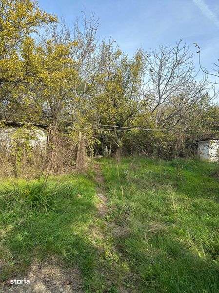 Casa Viile Satu Mare - Imagine principală: 5/6