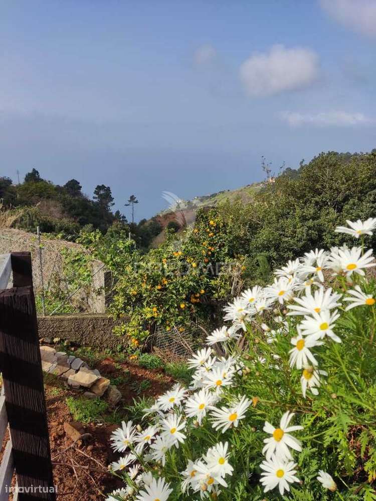 Moradia em Ruína Para Venda em Fajã da Ovelha, Ilha da Madeira - Grande imagem: 5/24