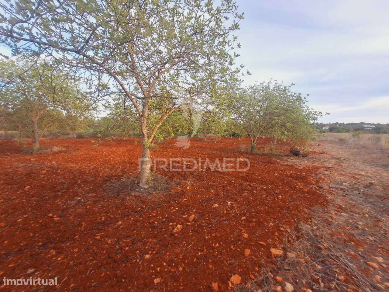 Terreno na Zona de Vale Judeu, Loulé - Grande imagem: 5/13