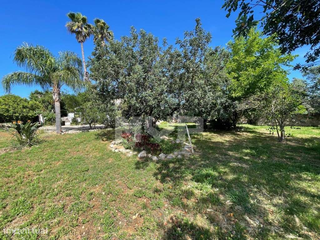 Quinta com 3 quartos e forno em Santa Bárbara de Nexe, Faro.-45