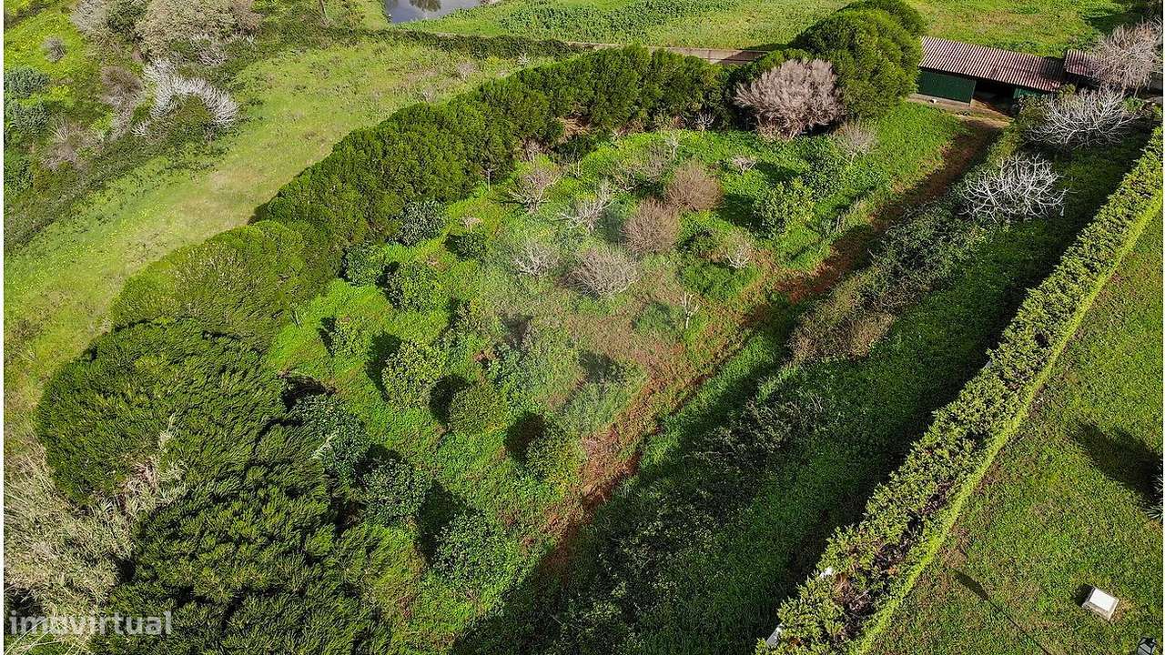 Quinta T4 para venda - Grande imagem: 3/35