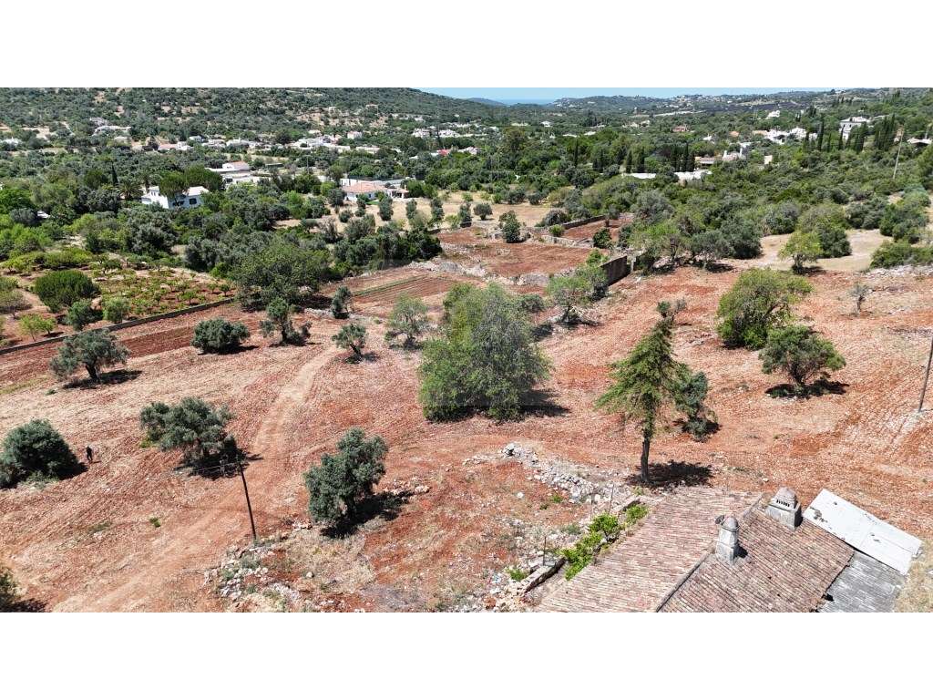 Quinta Centenária com Potencial para Turismo Rural - Grande imagem: 3/30