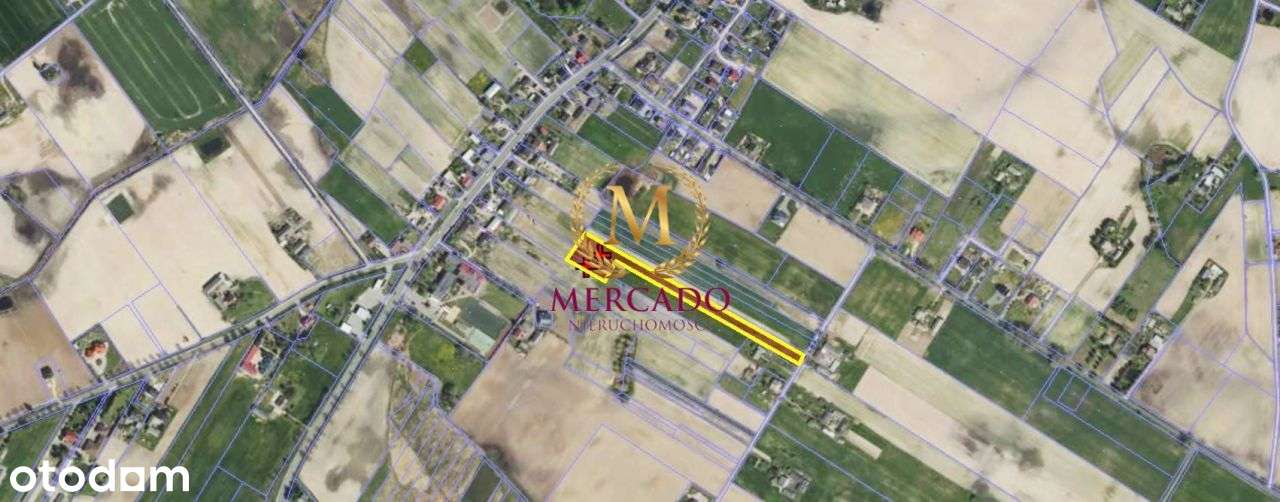 Działka, 5 768 m², Lipno - Pełny obrazek: 2/3