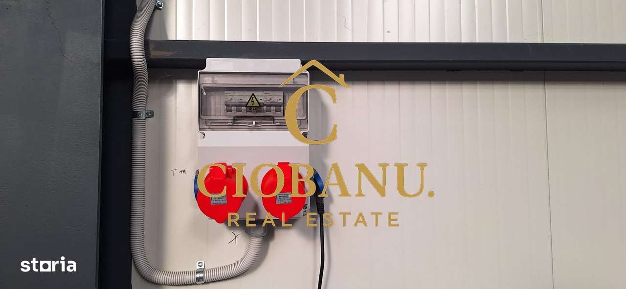 Hala de vanzare in Racari de Jos-3