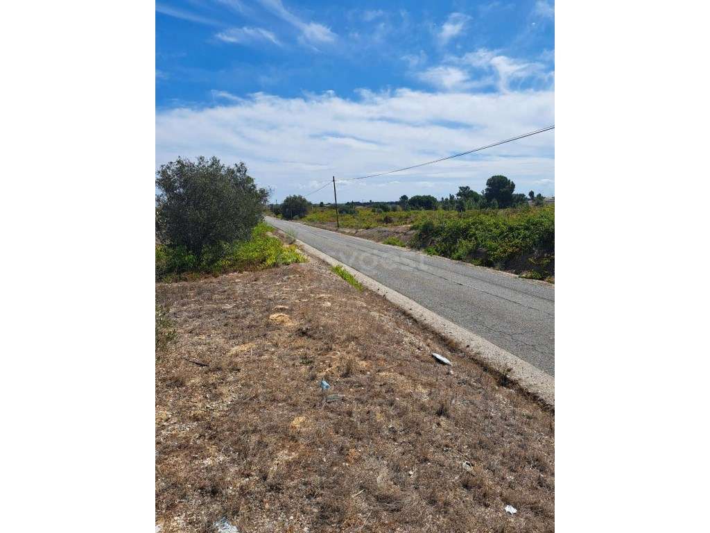 6 lotes de Terreno com 7830mts2 cada, vendidos em conjunto - Grande imagem: 3/5