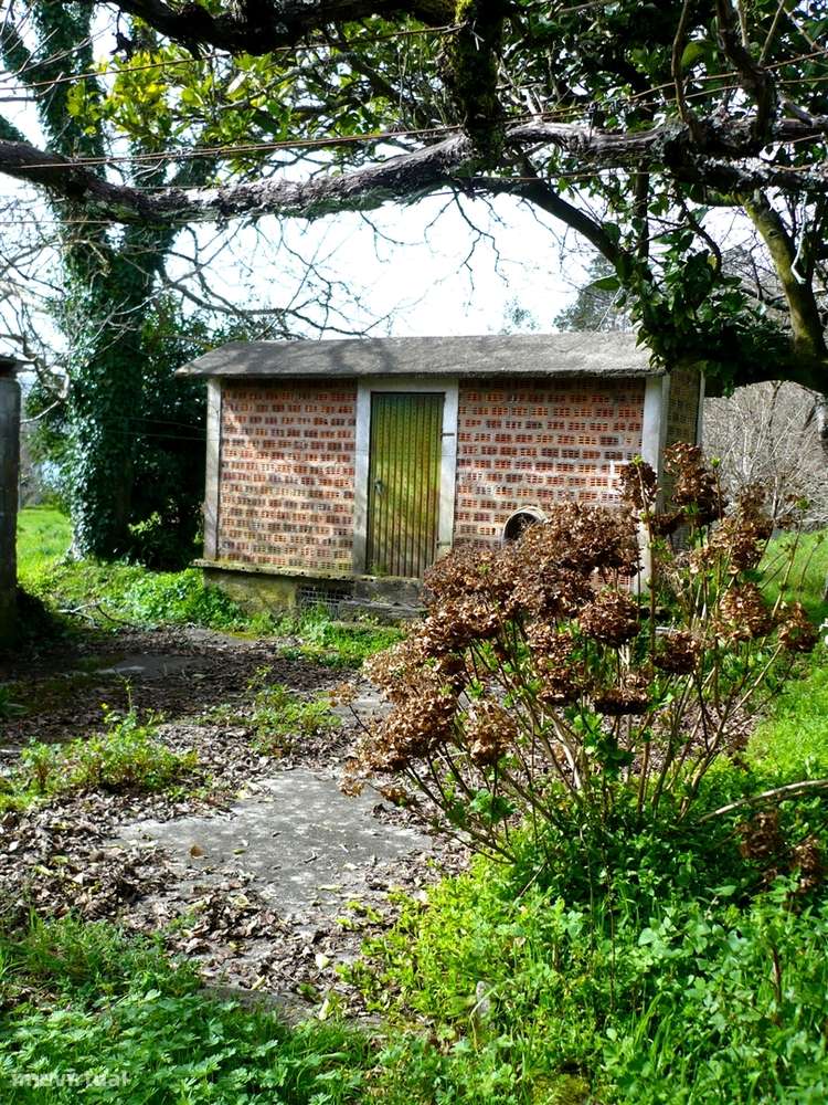 Quinta Minhota em Covas: Pedra, Água de Mina e Vistas Infinitas-21