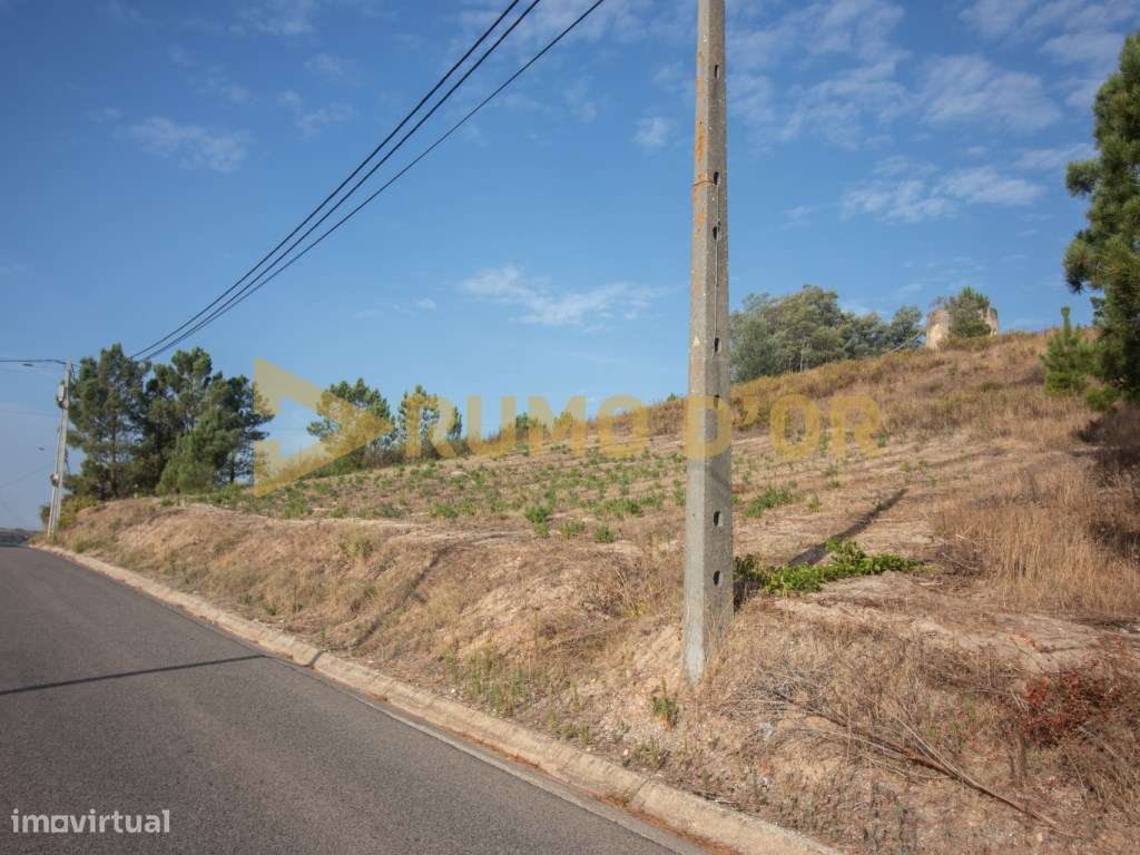 Moinho em Surraipas, Pocariça-6