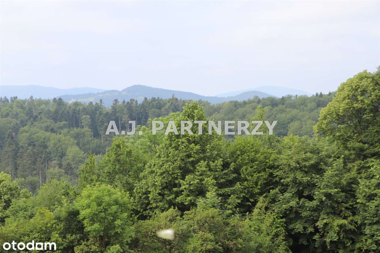 Działka w otoczeniu lasu z widokiem na góry-13