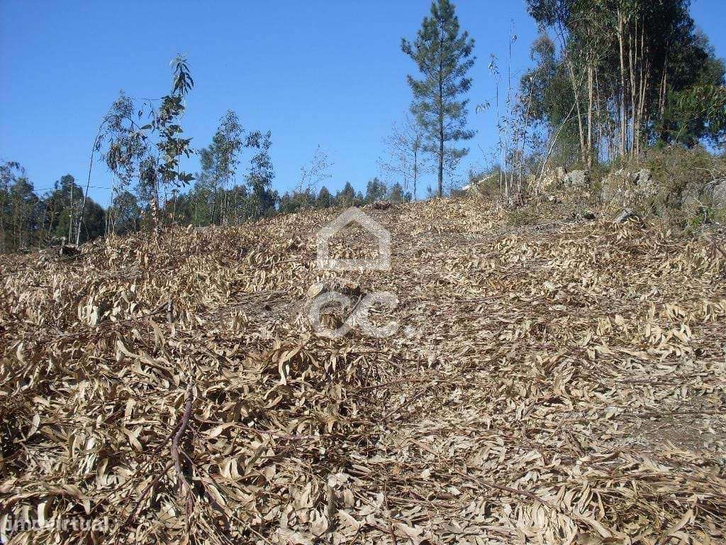 Terreno para moradia - Terreno Construção - Grande imagem: 4/5