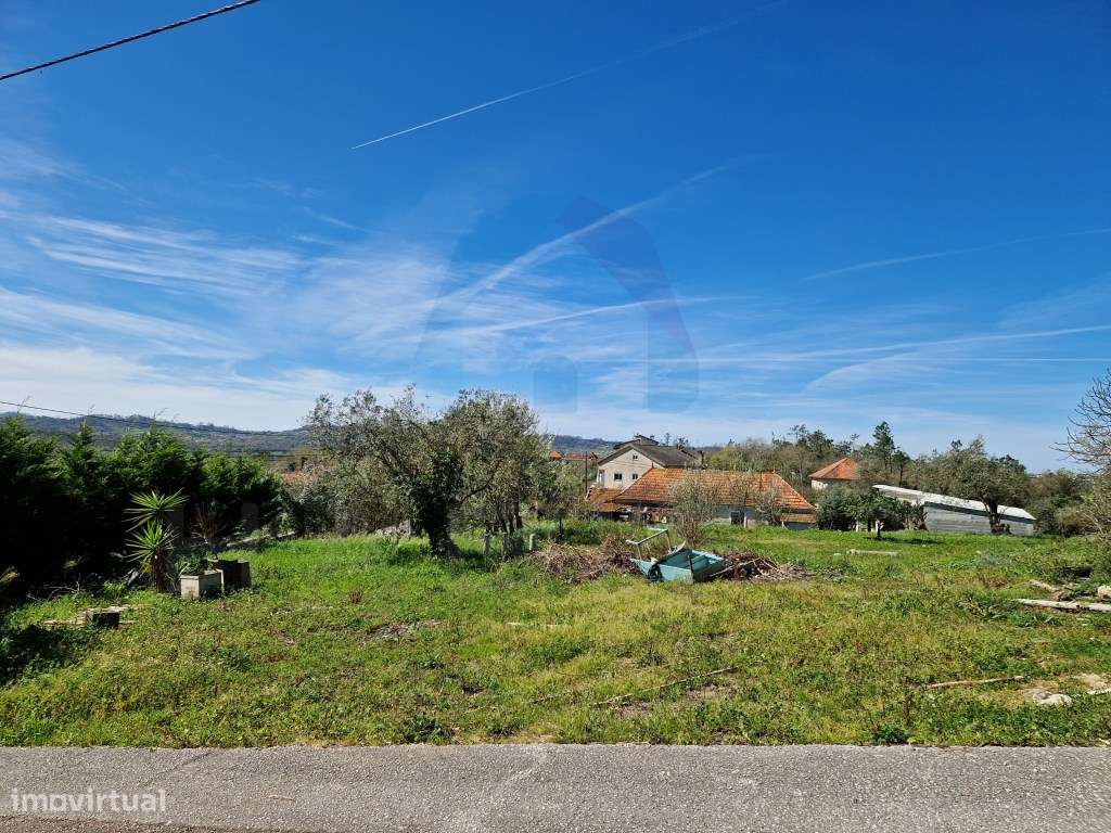 Terreno com Viabilidade de Construção - Pombal - Grande imagem: 2/5