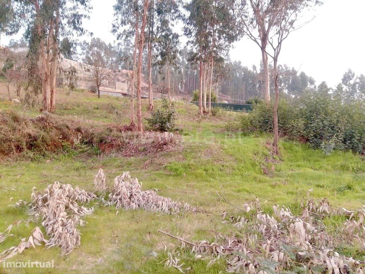 Terreno para Construção em Louredo - Paredes - Grande imagem: 4/6
