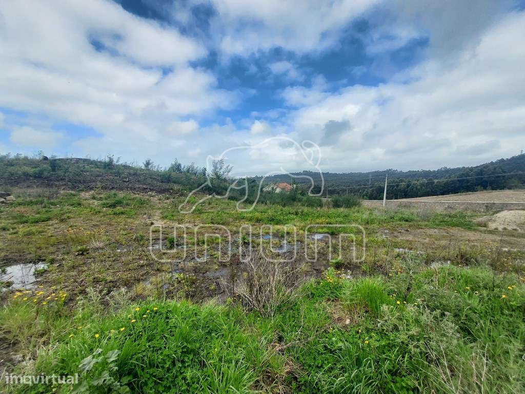 TERRENO - Vila de Punhe, Viana do Castelo - Grande imagem: 4/5