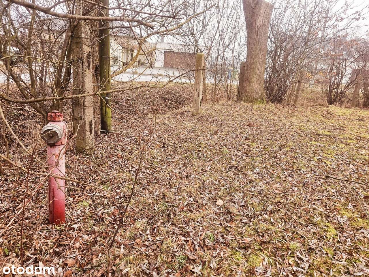 Narożna, uzbrojona z dojazdem asfaltowym. 5 minut od Opola...-4