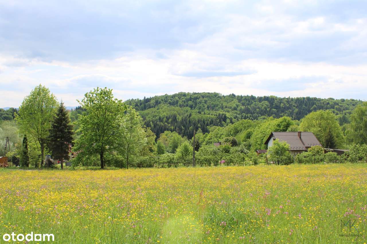 Kobylec (gm. Łapanów) - działka budowlana z ładnym widokiem!-0