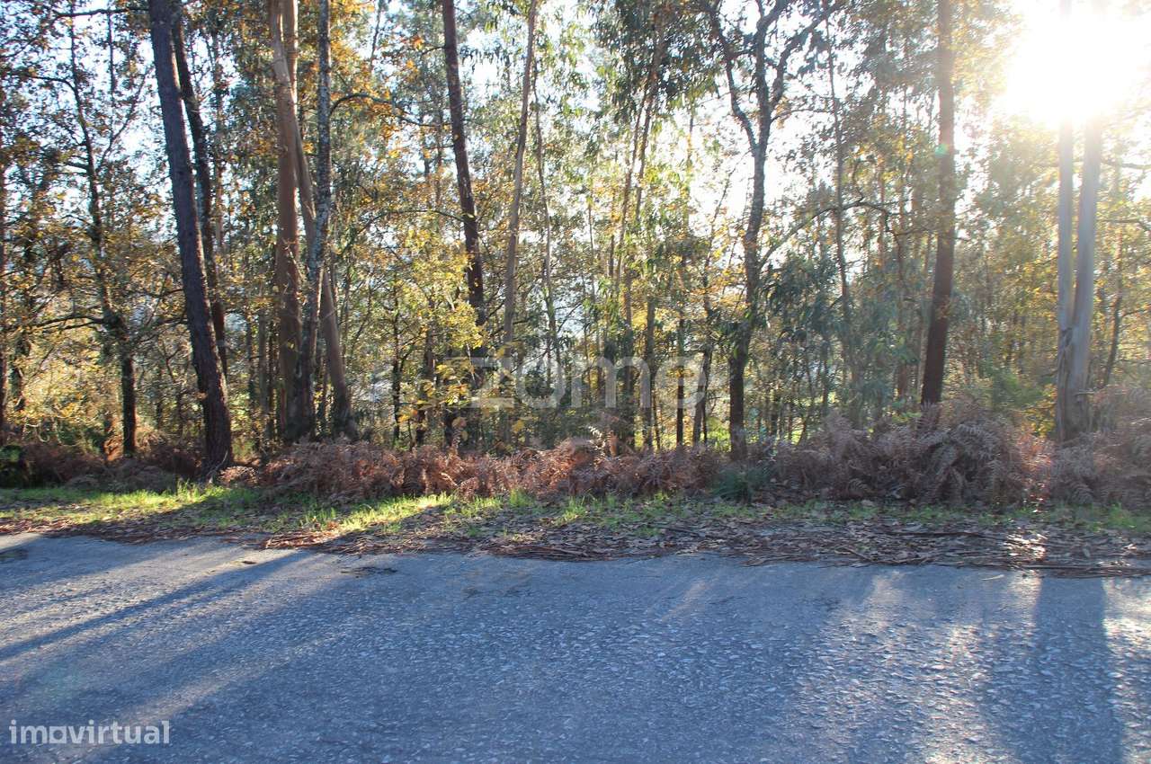 Terreno Rústico para Venda em Gémeos, Guimarães - Grande imagem: 2/14