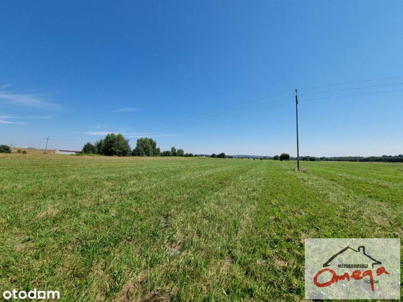 Działka o idealnych wymiarach - Pełny obrazek: 5/8