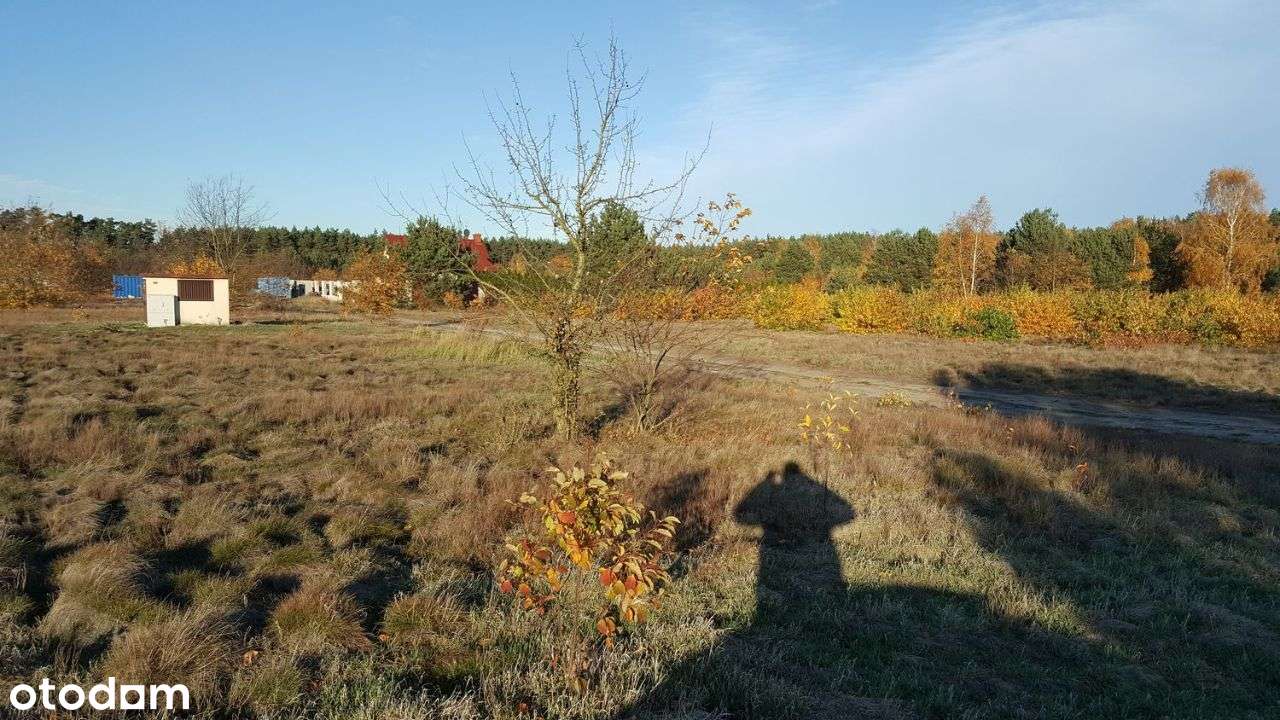 działka budowlana 1647 m2 Rurzyca, ul. Cicha (las) - Pełny obrazek: 4/5