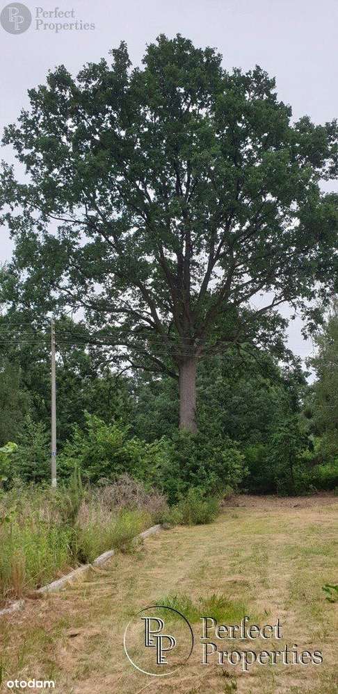 Józefów pod Warszawą - działka budowlana-0