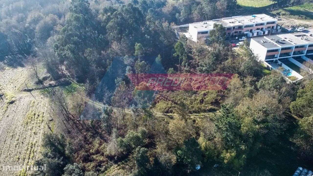 Excelente Terreno em Palmeira, Braga! - Grande imagem: 5/6