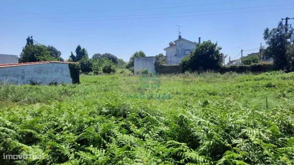 TERRENO EM SANTA MARTA COM 1800 M2 - Grande imagem: 2/7