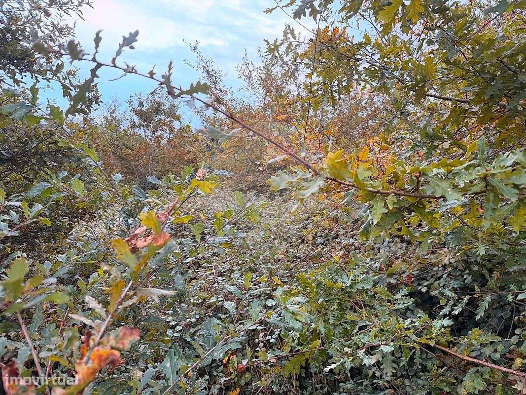 Terreno  para venda - Grande imagem: 4/4