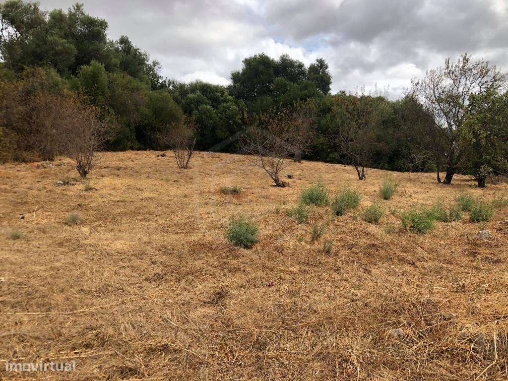 Terreno rústico em malha urbana, Salir, Algarve - Grande imagem: 5/11