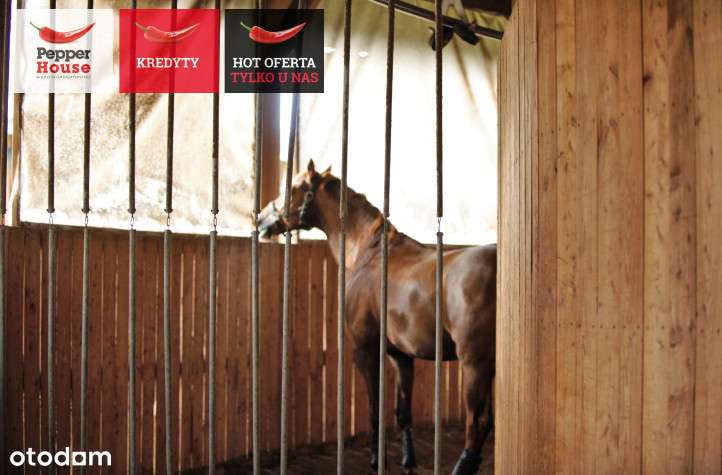 Nowoczesny ośrodek jeździecki na sprzedaż! - Pełny obrazek: 4/20