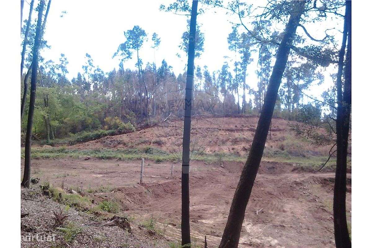 Terreno  para venda - Grande imagem: 5/8