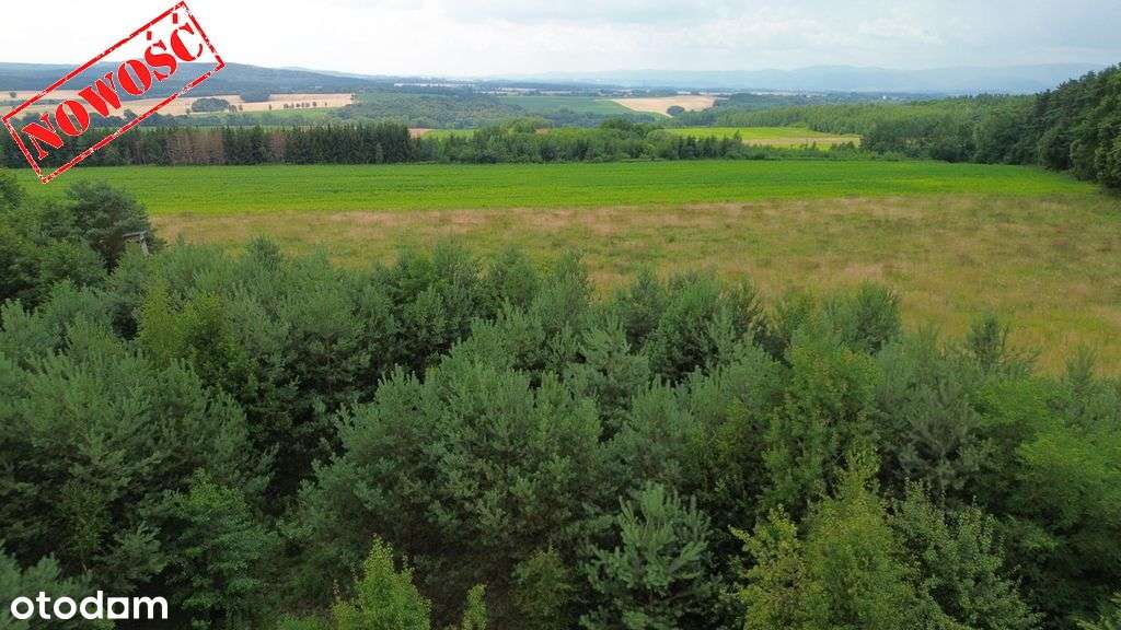 Działka budowlana 8500m2 (Ml), Słupice-1