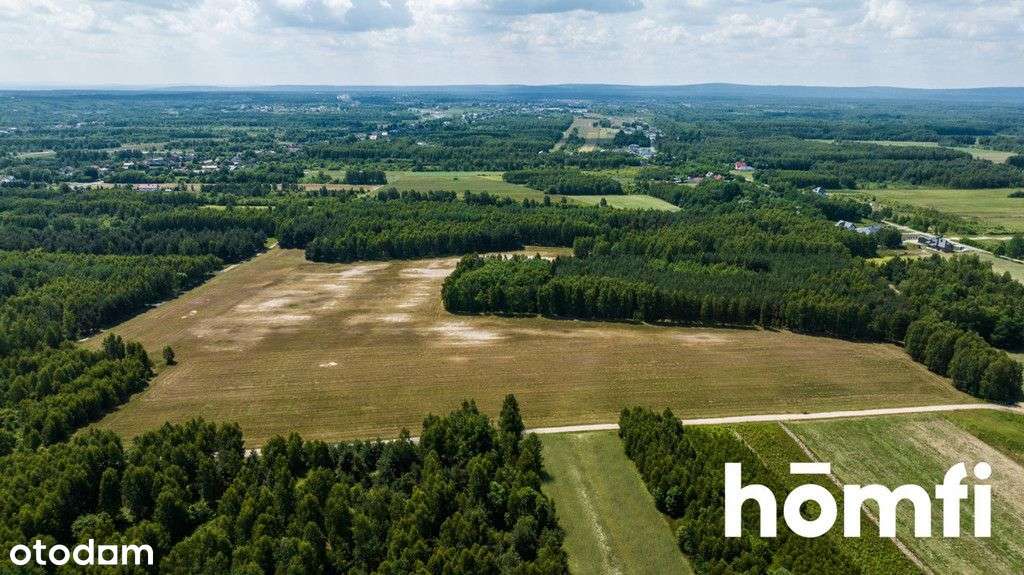 Działki przy lesie - uzbrojone, gotowe do zabudowy - Pełny obrazek: 3/14