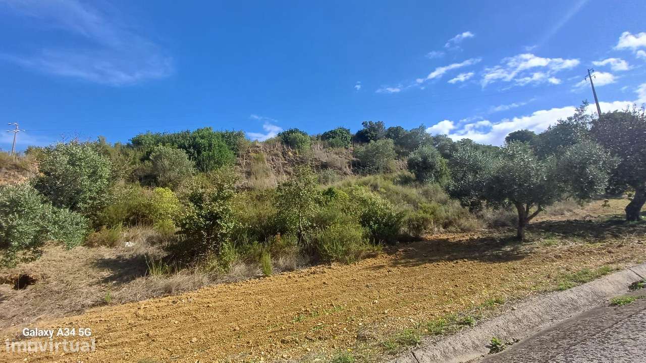 Terreno Rústico em Torres Novas - Oportunidade Única! - Grande imagem: 5/8