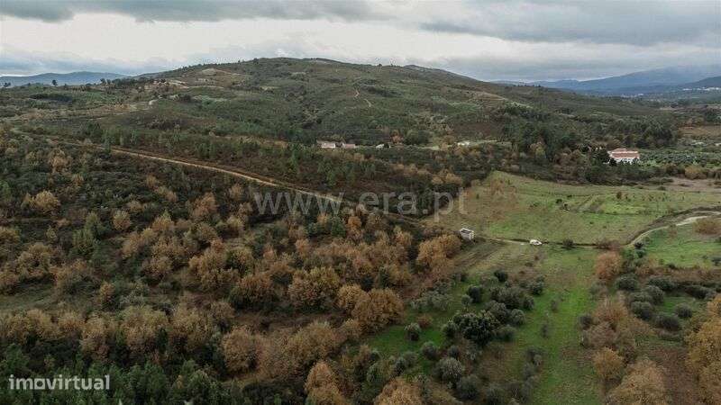 Terreno, Pesinho - Grande imagem: 4/7