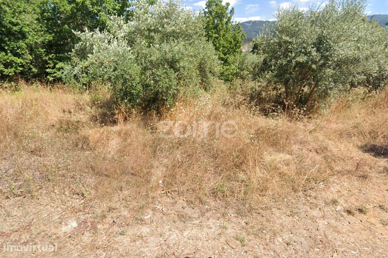 Lote de terreno para construção | Miranda do Corvo - Grande imagem: 2/15