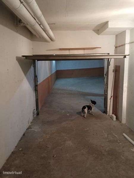 Gsragem subterrabea  montijo - Grande imagem: 5/8