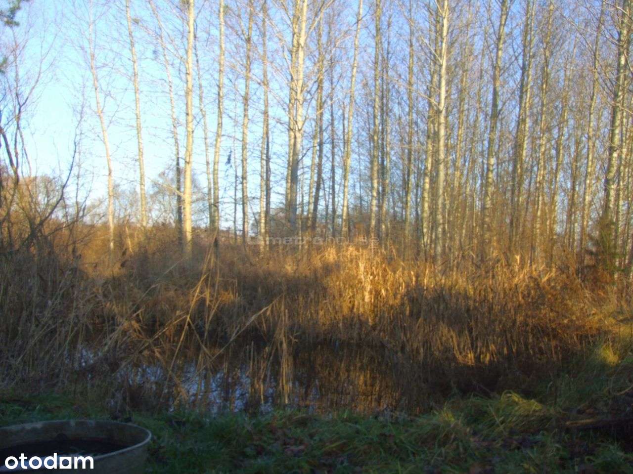 Dom w Rogowie! - 160m2 na działce 7500m2-16